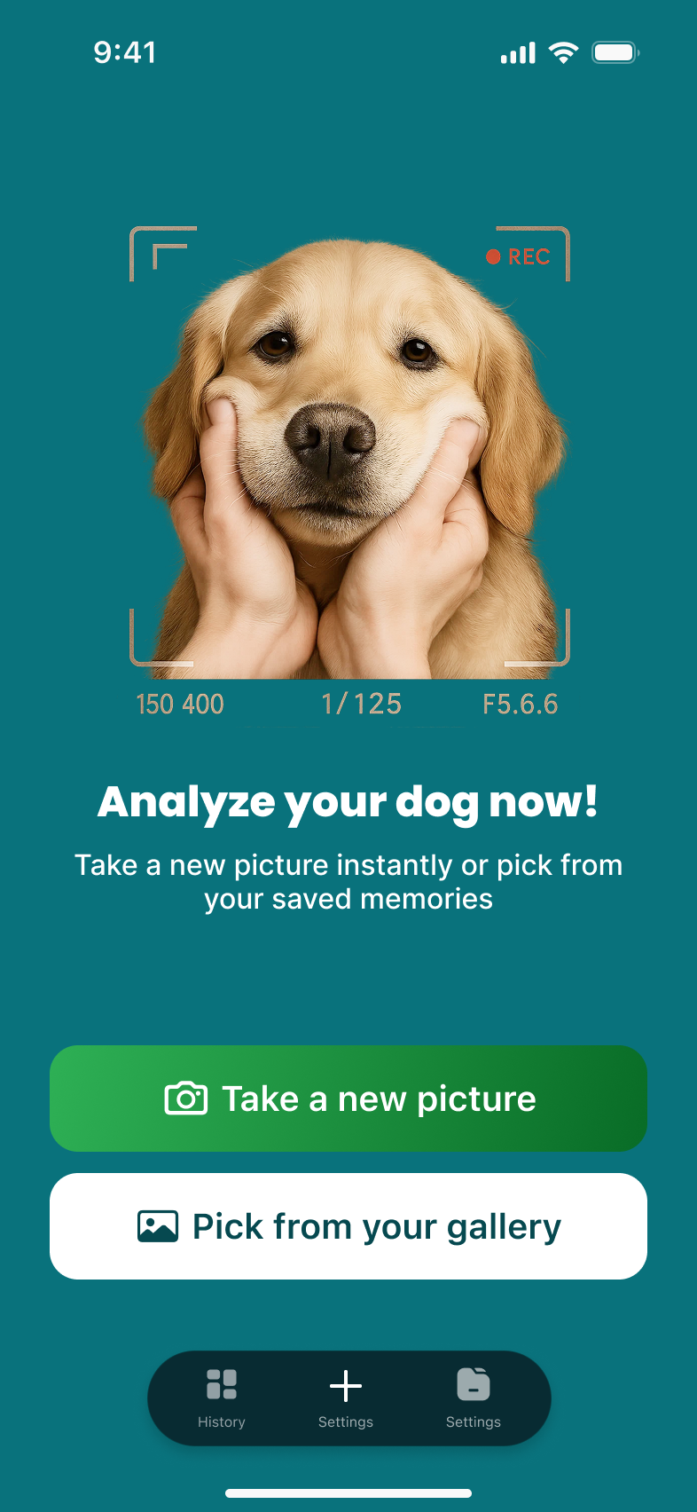 AI Dog Scan - Take a photo of your dog