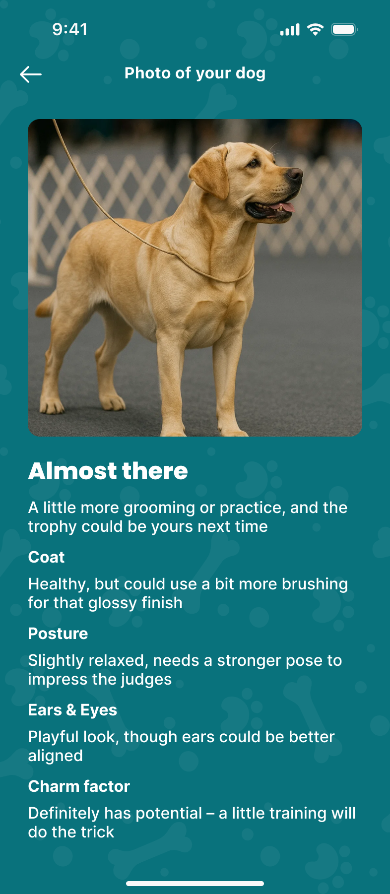 AI Dog Scan - Get instant verdict
